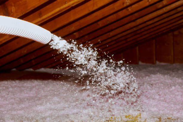 Best Professional Insulation Contractor  in Millport, AL